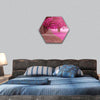 Fantasy park with pink colors hexagonal canvas wall art