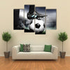 Beautiful view of Soccer Multi panel canvas wall art