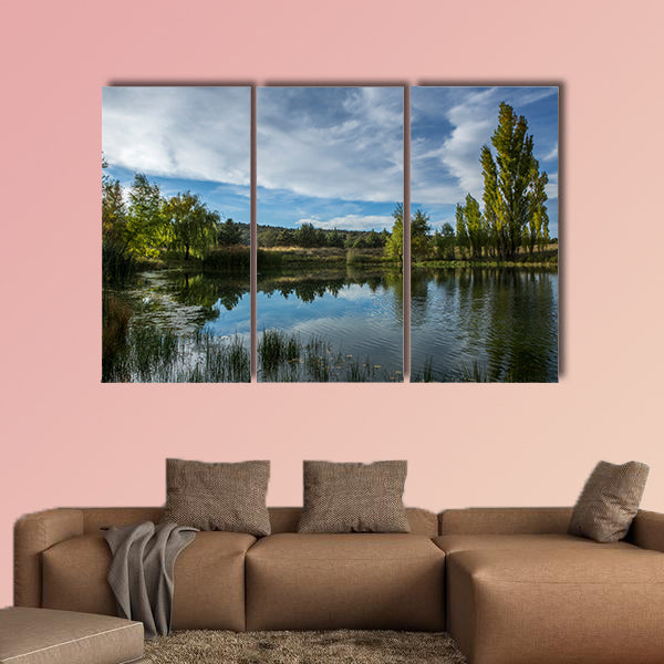 A pond in the Arizona desert multi panel canvas wall art