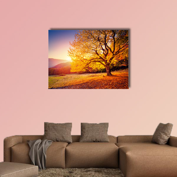 Majestic alone beech tree on a hill slope with sunny beams at mountain valley multi panel canvas wall art