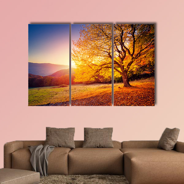 Majestic alone beech tree on a hill slope with sunny beams at mountain valley multi panel canvas wall art