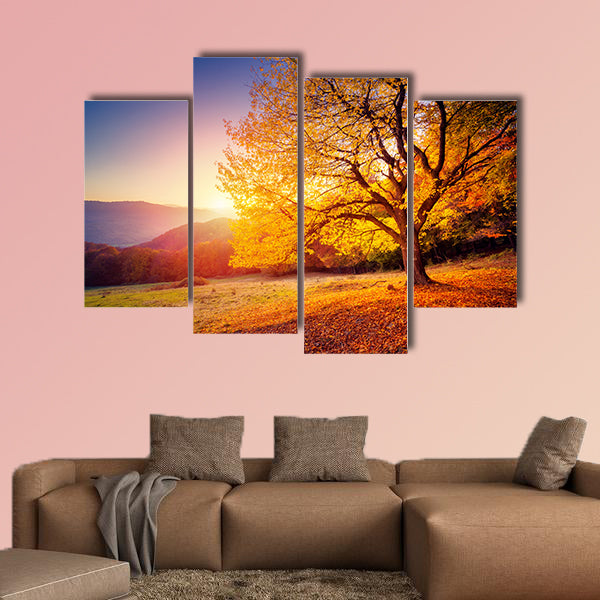 Majestic alone beech tree on a hill slope with sunny beams at mountain valley multi panel canvas wall art
