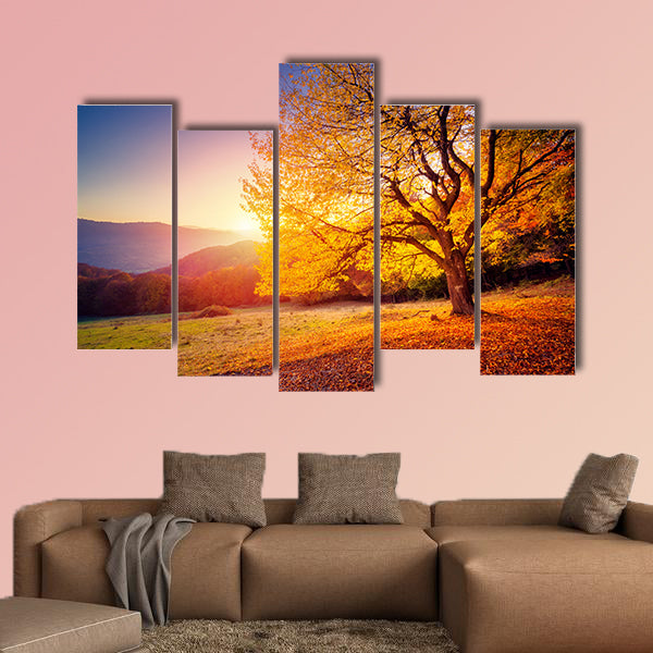 Majestic alone beech tree on a hill slope with sunny beams at mountain valley multi panel canvas wall art