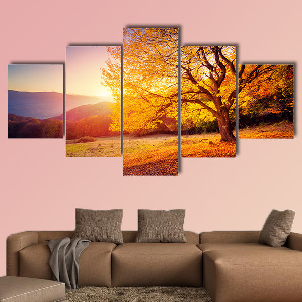 Majestic alone beech tree on a hill slope with sunny beams at mountain valley multi panel canvas wall art