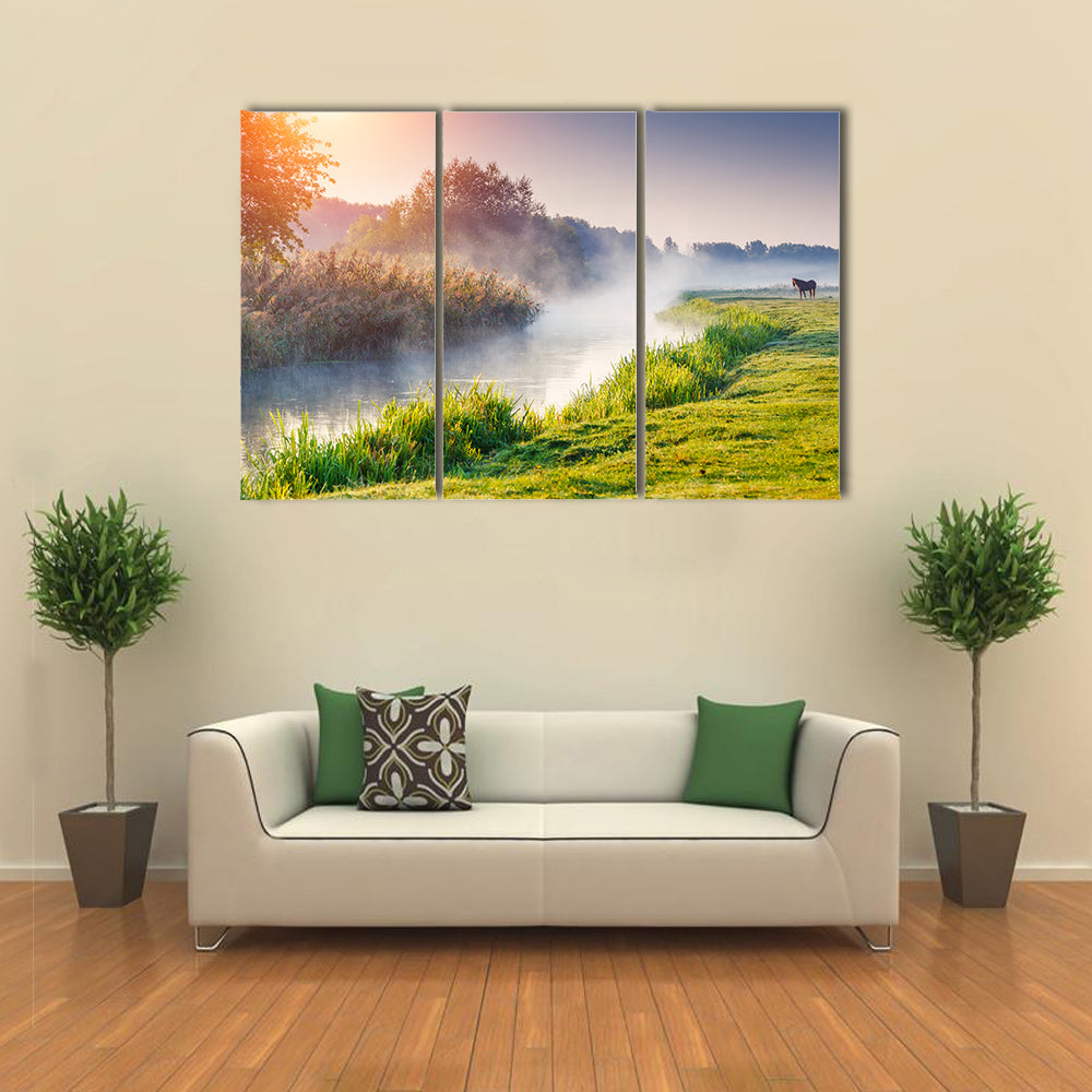 Fantastic foggy river with fresh green grass in the sunny beams multi panel canvas wall art