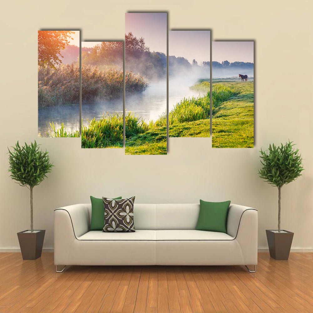 Fantastic foggy river with fresh green grass in the sunny beams multi panel canvas wall art