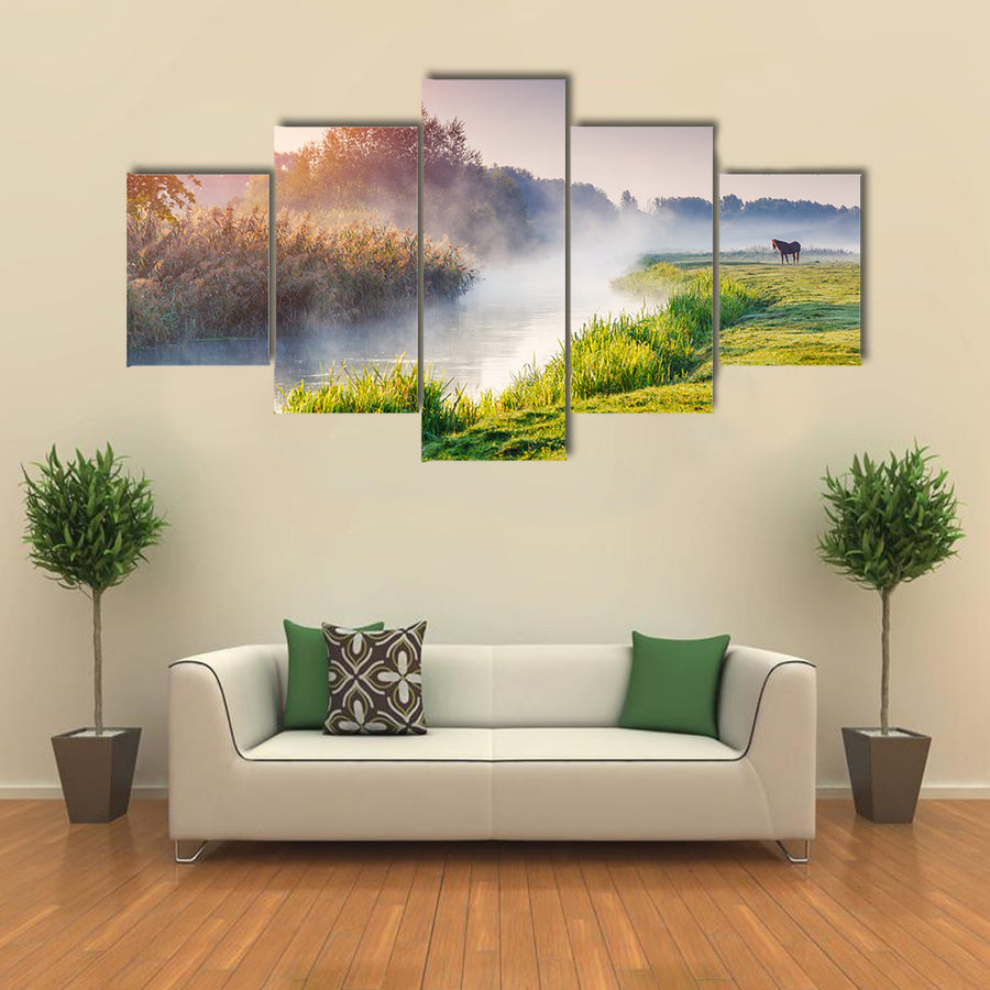 Fantastic foggy river with fresh green grass in the sunny beams multi panel canvas wall art