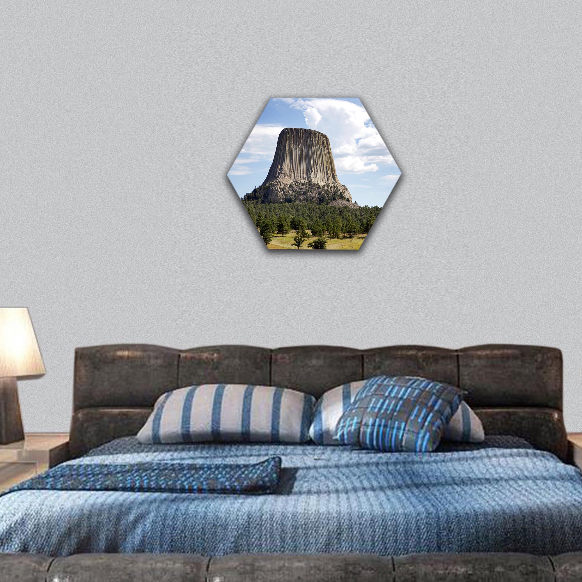 Devils Tower National Monument located in Wyoming, USA hexagonal canvas wall art