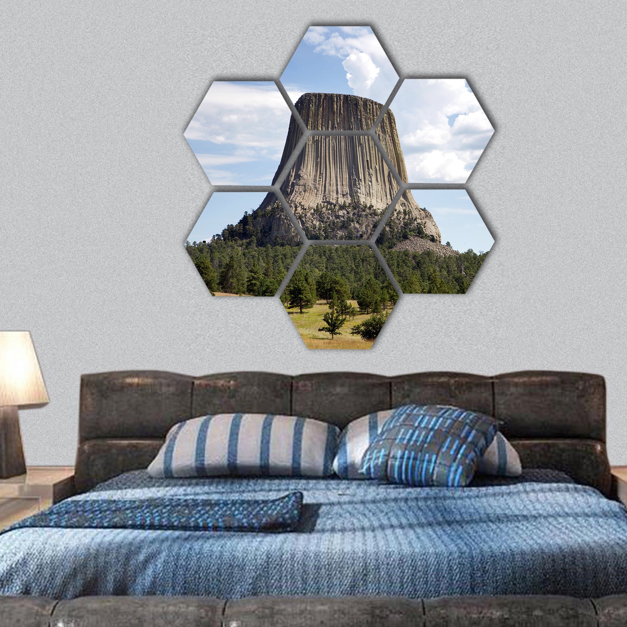 Devils Tower National Monument located in Wyoming, USA hexagonal canvas wall art