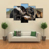 Three Fighting dogs, one Pit Bull Terrier and two Belgian Shepherds Malinois Multi Panel Canvas Wall Art