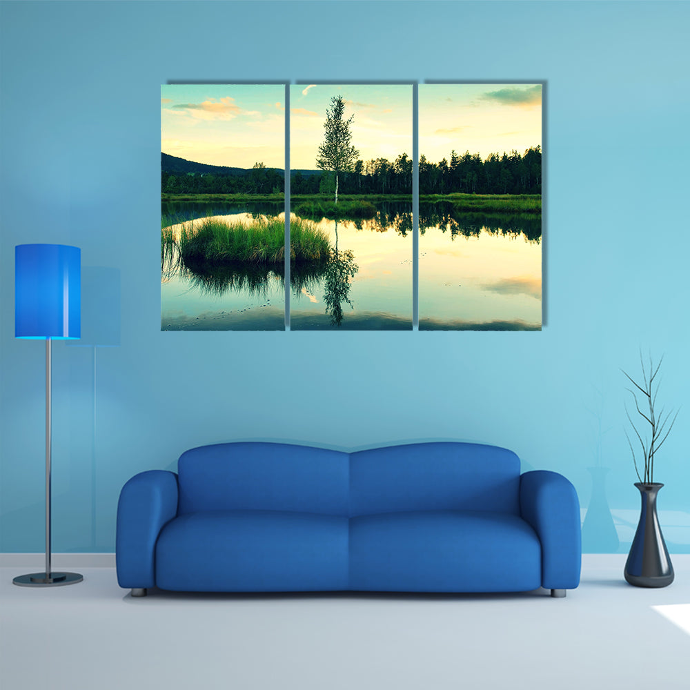 Swampy lake with mirror water level in mysterious forest, multi panel canvas wall art
