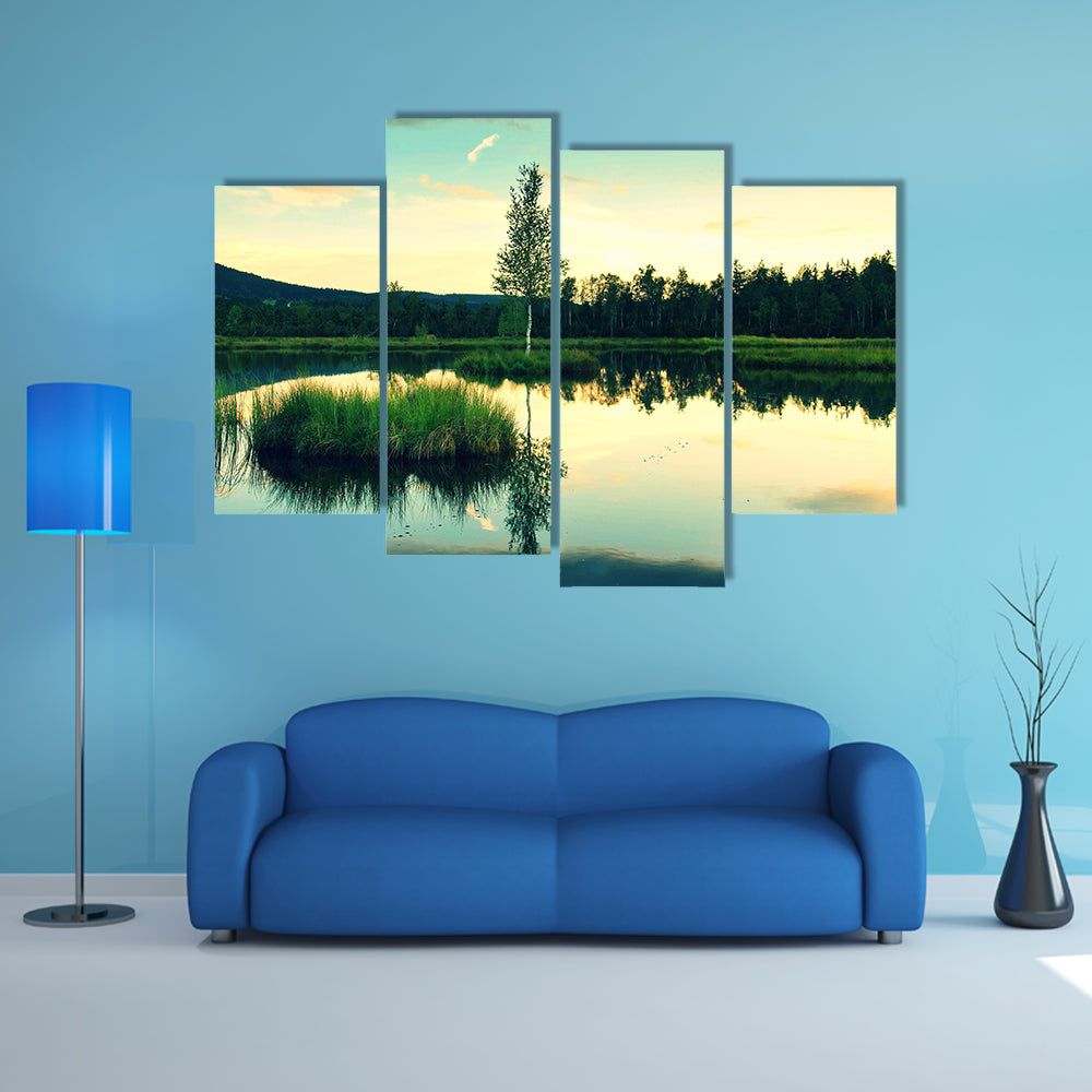Swampy lake with mirror water level in mysterious forest, multi panel canvas wall art
