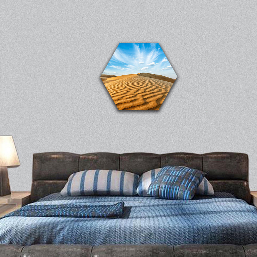 dunes of Thar Desert. Sam Sand dunes, Rajasthan, India hexagonal canvas wall art