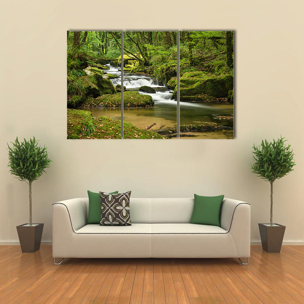 Landscape canvas of river flowing through lush green forest in Summer multi panel canvas wall art
