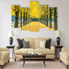 Row of yellow ginkgo tree in Nami Island Multi panel canvas wall art