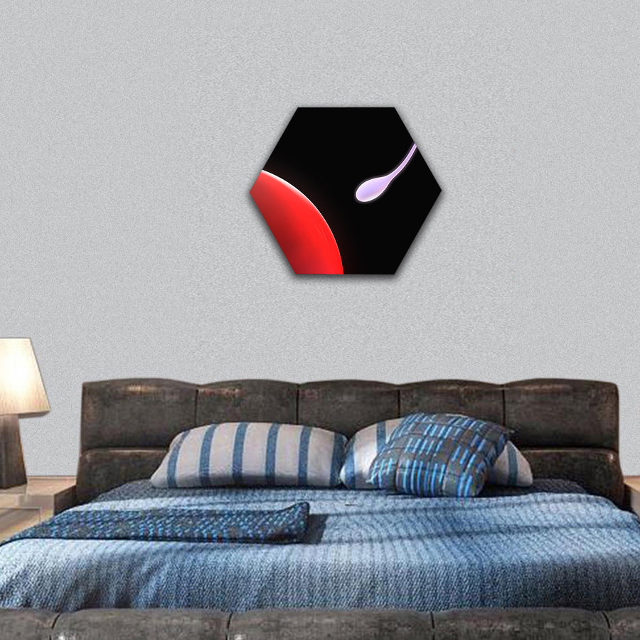 sperm hexagonal canvas wall art