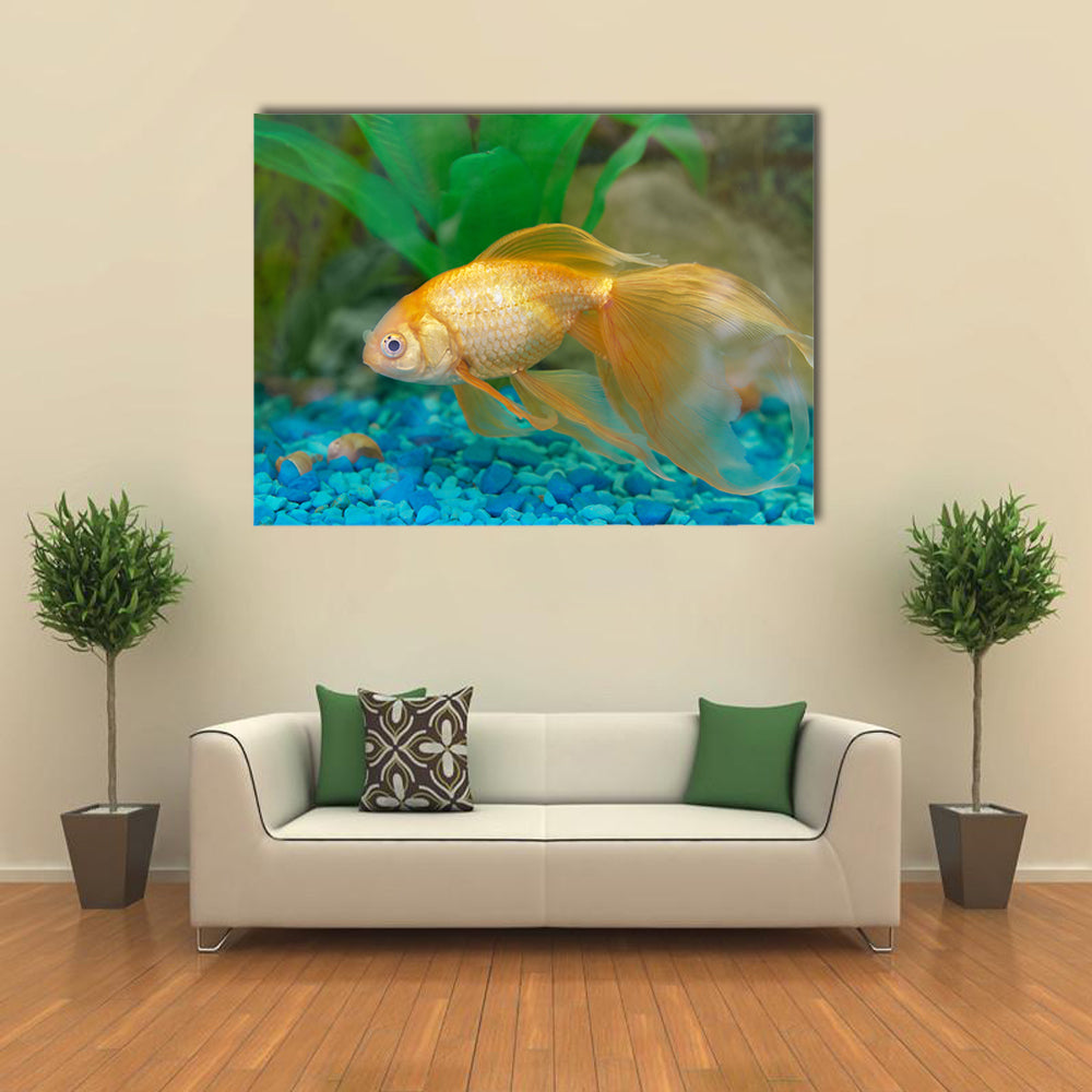 Tropical Golden Fish in Aquarium Multi Panel Canvas Wall Art