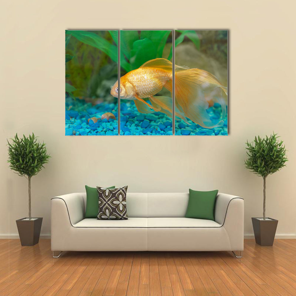 Tropical Golden Fish in Aquarium Multi Panel Canvas Wall Art