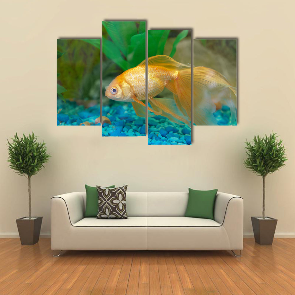 Tropical Golden Fish in Aquarium Multi Panel Canvas Wall Art
