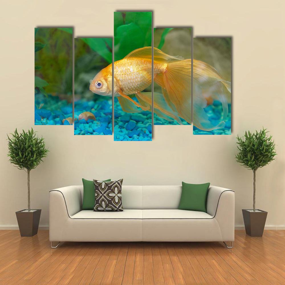 Tropical Golden Fish in Aquarium Multi Panel Canvas Wall Art