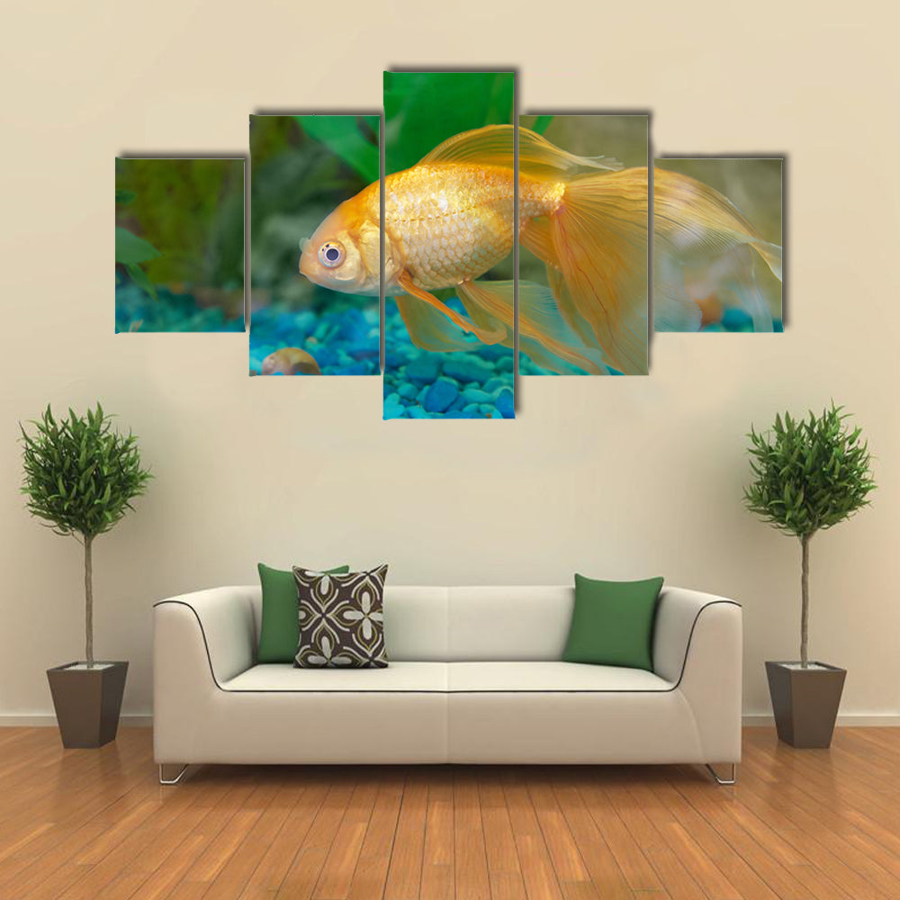 Tropical Golden Fish in Aquarium Multi Panel Canvas Wall Art