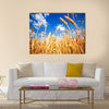 Wheat field and blue sky with clouds Multi panel canvas wall art