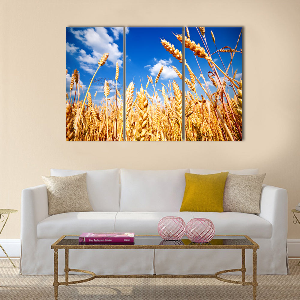 Wheat field and blue sky with clouds Multi panel canvas wall art