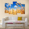 Wheat field and blue sky with clouds Multi panel canvas wall art