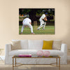 Cricket batsman try to blocks the ball Cricket is played Multi panel canvas Wall art