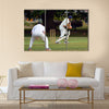 Cricket batsman try to blocks the ball Cricket is played Multi panel canvas Wall art