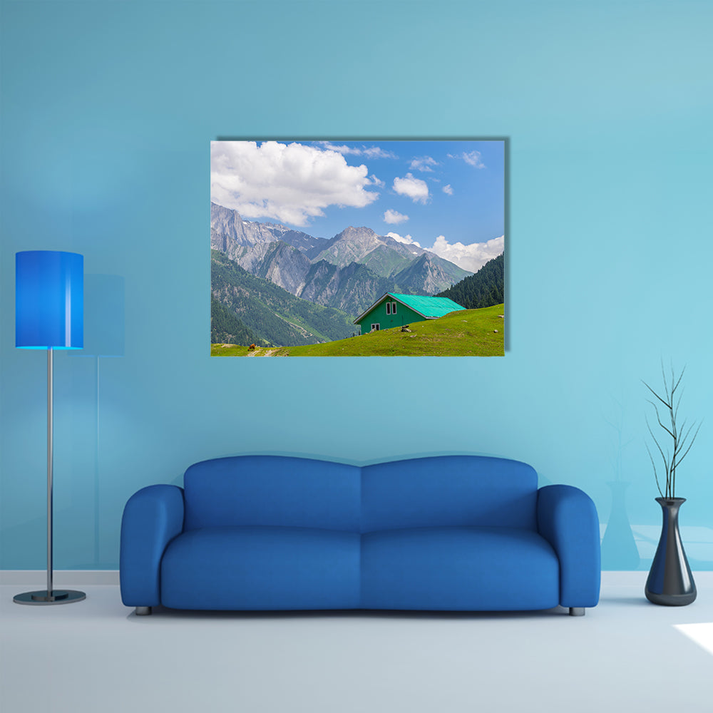 Green house at Sonamarg, Srinagar, India multi panel canvas wall art