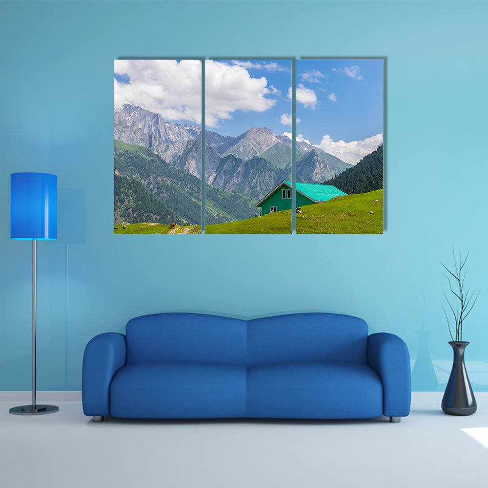 Green house at Sonamarg, Srinagar, India multi panel canvas wall art