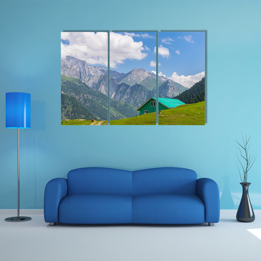 Green house at Sonamarg, Srinagar, India multi panel canvas wall art