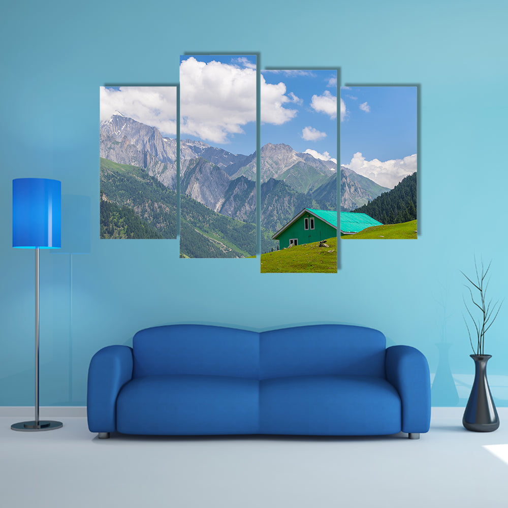 Green house at Sonamarg, Srinagar, India multi panel canvas wall art