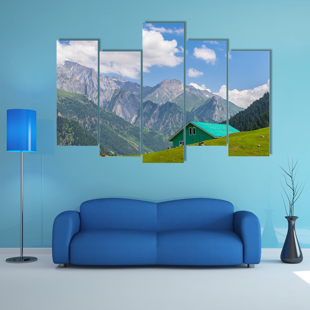 Green house at Sonamarg, Srinagar, India multi panel canvas wall art