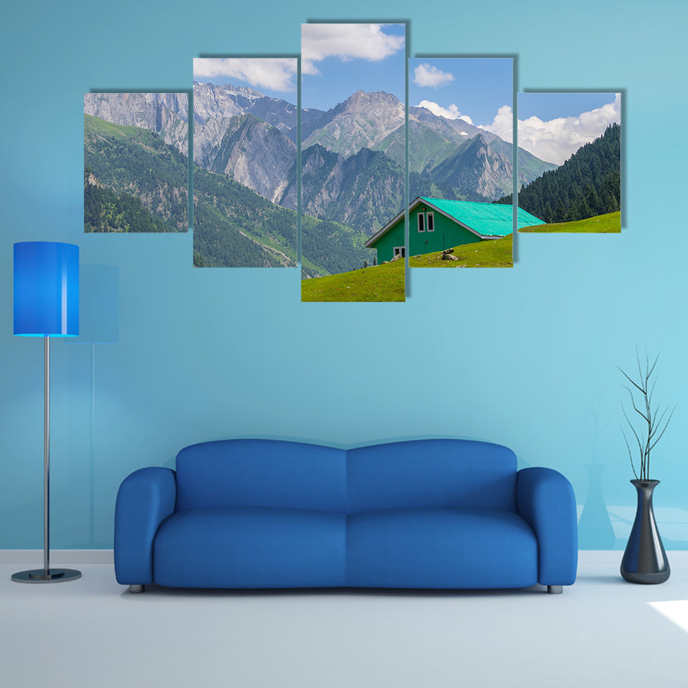 Green house at Sonamarg, Srinagar, India multi panel canvas wall art
