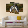 King penguin couple cuddling in wild nature with green background multi Panel Canvas wall Art