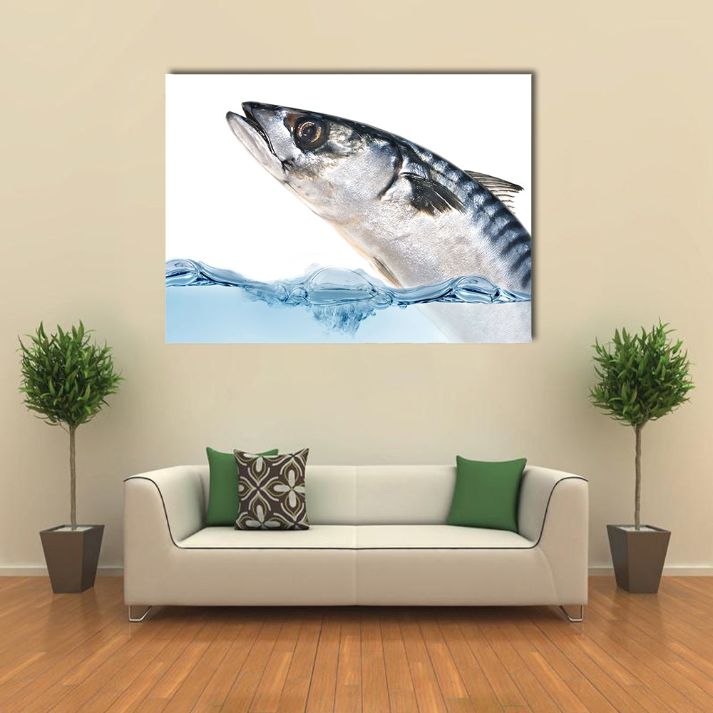 Fresh Mackerel Fish Jumping out of the Water. Multi Panel Canvas Wall Art