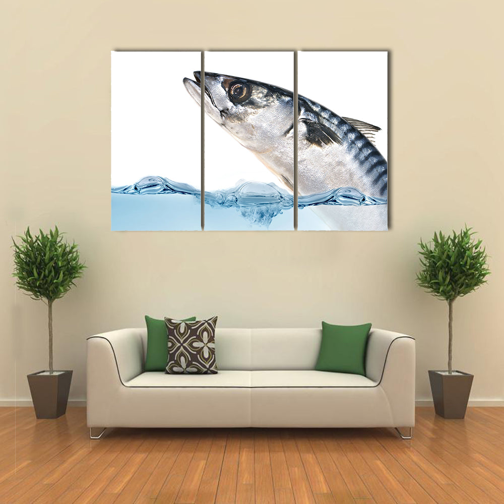 Fresh Mackerel Fish Jumping out of the Water. Multi Panel Canvas Wall Art