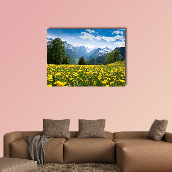 Scenic view from Braun Wald (Switzerland) with blossoming field wall art