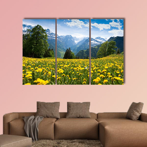 Scenic view from Braun Wald (Switzerland) with blossoming field wall art