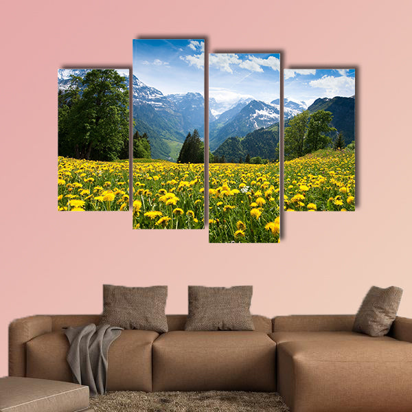 Scenic view from Braun Wald (Switzerland) with blossoming field wall art