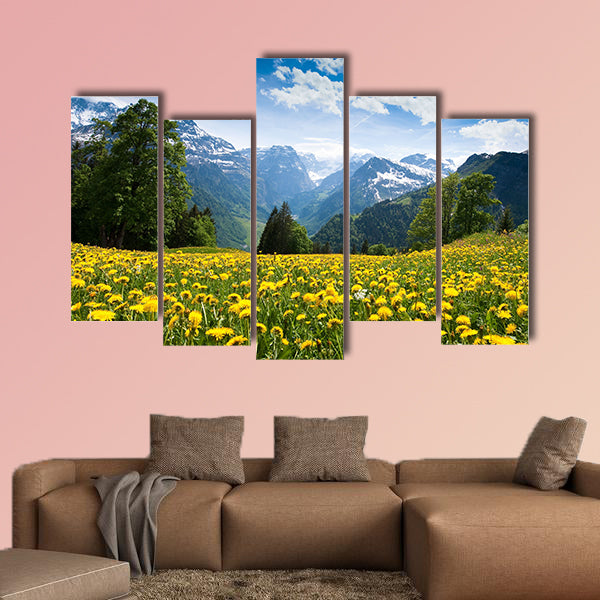 Scenic view from Braun Wald (Switzerland) with blossoming field wall art