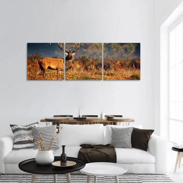 Large red deer stag in autumn panoramic canvas wall art.