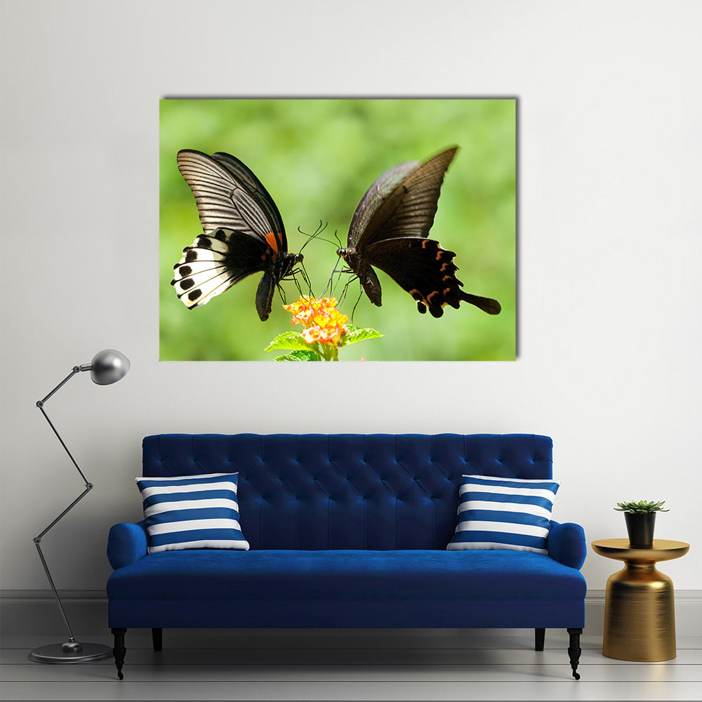 Swallowtail Butterflies Flying Over Plants,Multi Panel Canvas Wall Art
