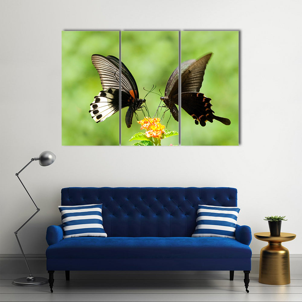 Swallowtail Butterflies Flying Over Plants,Multi Panel Canvas Wall Art