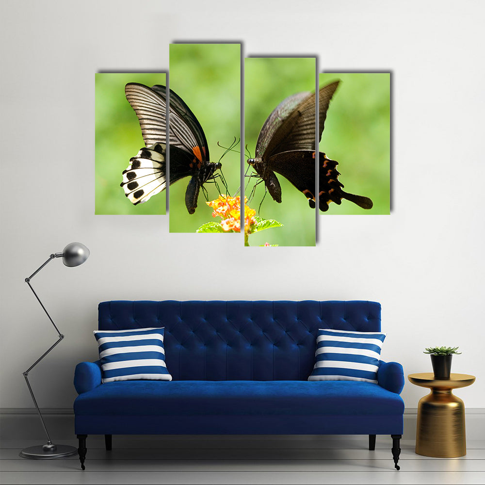 Swallowtail Butterflies Flying Over Plants,Multi Panel Canvas Wall Art