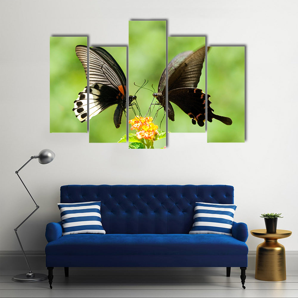 Swallowtail Butterflies Flying Over Plants,Multi Panel Canvas Wall Art