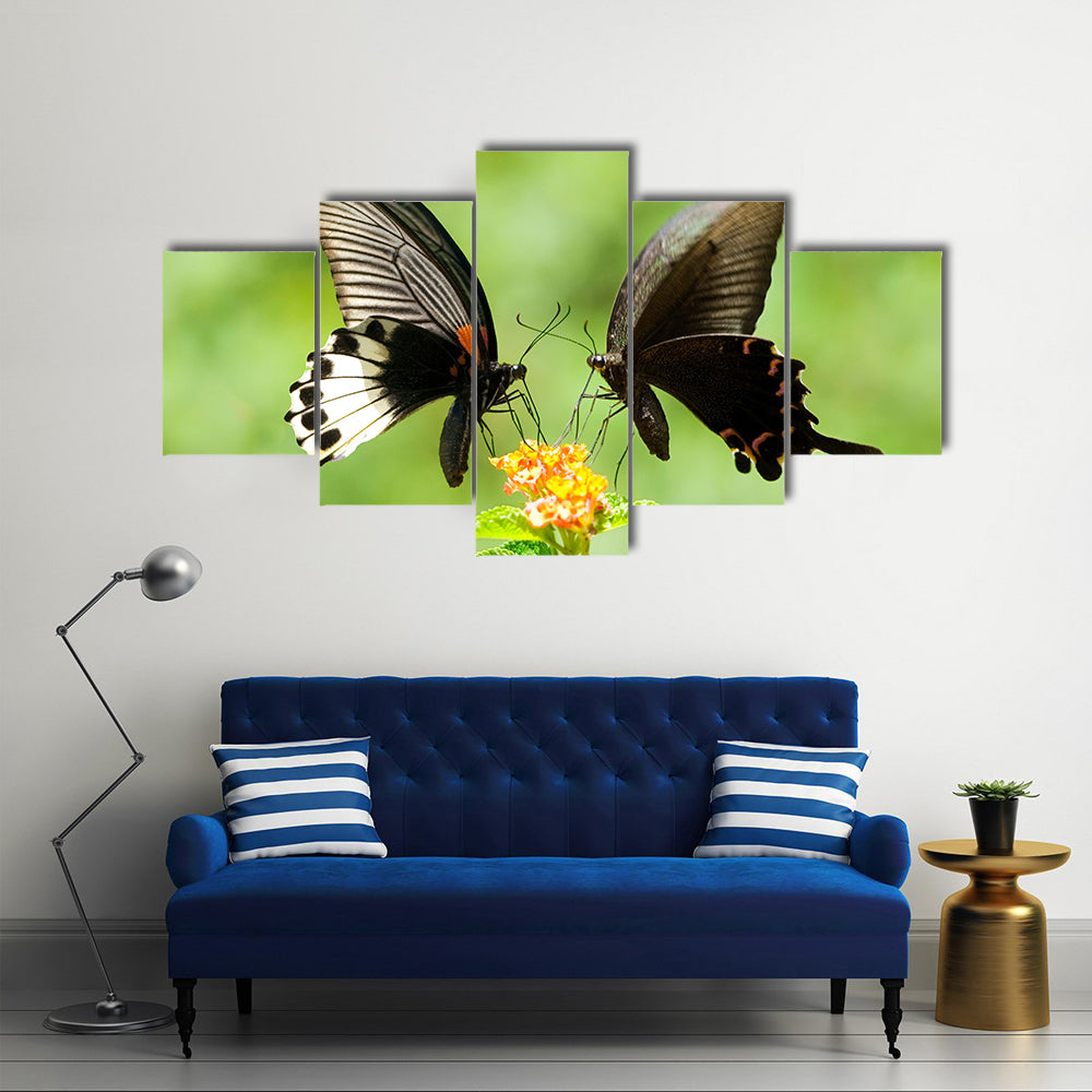 Swallowtail Butterflies Flying Over Plants,Multi Panel Canvas Wall Art
