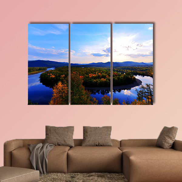 The Moore Road, GA national forest Park of white Deer Island multi panel canvas wall art